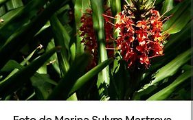 Jardin De Naipi 3