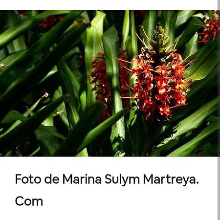Ferienwohnung Jardin De Naipi 3 Puerto Iguazú Zimmer foto