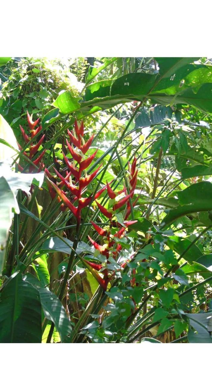 Ferienwohnung Jardin De Naipi 3 Puerto Iguazú Zimmer foto